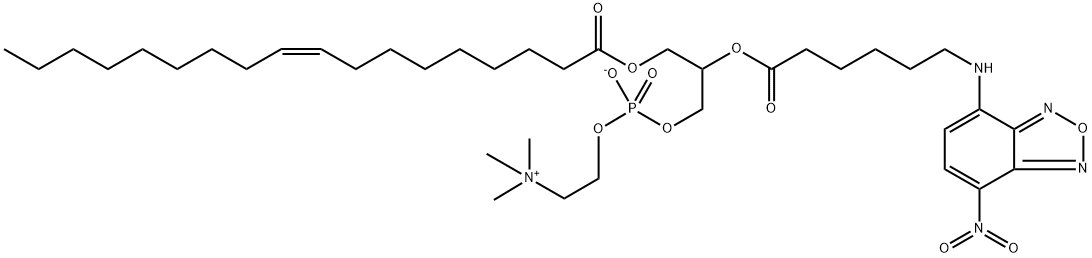 1-oleoyl-2-(7-(4-nitrobenzo-2-oxa-1,3-diazole))-6-aminocaproylphosphatidylcholine Structure