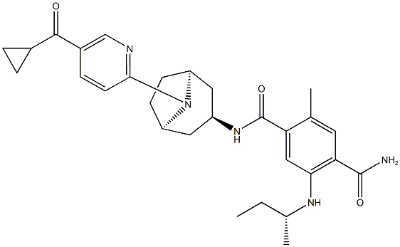 N-[(1β,5β)-8-[5-(シクロプロピルカルボニル)-2-ピリジニル]-8-アザビシクロ[3.2.1]オクタン-3α-イル]-2-メチル-5-[[(R)-sec-ブチル]アミノ]-1,4-ベンゼンジカルボアミド 化学構造式