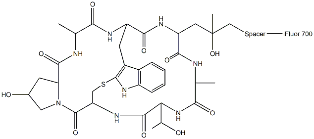 Phalloidin-iFluor 700 Conjugate Structure