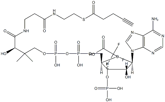 4-pentynoyl-Coenzyme A (trifluoroacetate salt) 化学構造式