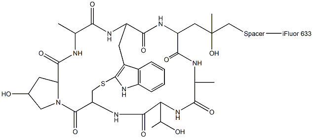 Phalloidin-iFluor 633 Conjugate Structure