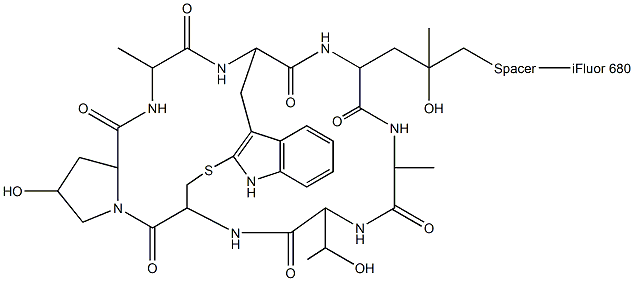 Phalloidin-iFluor 680 Conjugate Structure