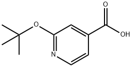 2-(叔丁氧基)吡啶-4-羧酸 结构式