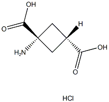 (TRANS)-1-AMINOCYCLOBUTANE-1,3-DICARBOXYLIC ACID HYDROCHLORIDE 结构式