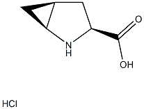 (1S,3S,5S)-2-AZABICYCLO[3.1.0]HEXANE-3-CARBOXYLIC ACID HYDROCHLORIDE Structure