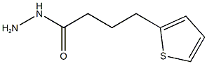 4-(thiophen-2-yl)butanehydrazide,,结构式