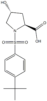 (2S,4R)-1-[(4-tert-butylphenyl)sulfonyl]-4-hydroxypyrrolidine-2-carboxylic acid|