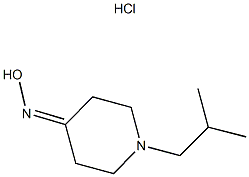 1-ISOBUTYLPIPERIDIN-4-ONE OXIME HYDROCHLORIDE Structure