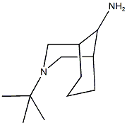 3-tert-butyl-3-azabicyclo[3.3.1]nonan-9-amine