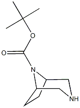 tert-butyl 3,8-diazabicyclo[3.2.1]octane-8-carboxylate,,结构式