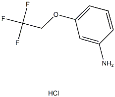 3-(2,2,2-TRIFLUOROETHOXY)ANILINE HYDROCHLORIDE