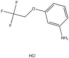 3-(2,2,2-TRIFLUOROETHOXY)ANILINE HYDROCHLORIDE|3-(2,2,2-TRIFLUOROETHOXY)ANILINE HYDROCHLORIDE