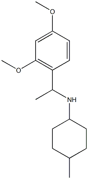 N-[1-(2,4-dimethoxyphenyl)ethyl]-4-methylcyclohexan-1-amine Structure