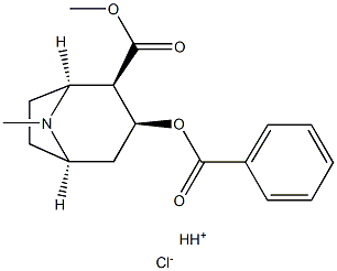 Cocaine Hydrochloride Solution Structure