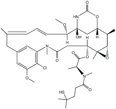 DM4 Structure