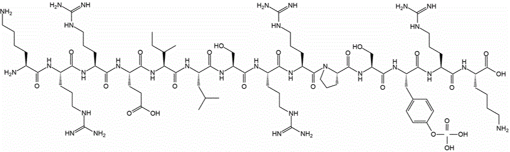 CREBTIDE [KRREILSRRPSYR], PHOSPHORYLATED, C-TERM K Struktur