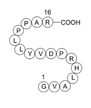 H2N-GVALHRPDVYLLPPAR-OH Structure