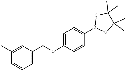 4,4,5,5-tetramethyl-2-(4-((3-methylbenzyl)oxy)phenyl)-1,3,2-dioxaborolane 化学構造式