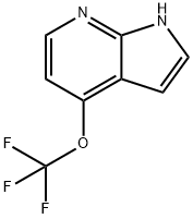 1H-Pyrrolo[2,3-b]pyridine, 4-(trifluoromethoxy)-,1261560-81-9,结构式