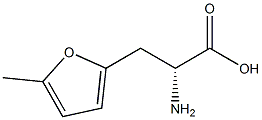 (2R)-2-amino-3-(5-methylfuran-2-yl)propanoic acid Structure