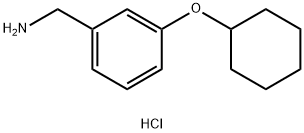 [3-(cyclohexyloxy)phenyl]methanamine hydrochloride Struktur