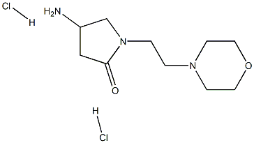 4-amino-1-[2-(morpholin-4-yl)ethyl]pyrrolidin-2-one dihydrochloride Structure