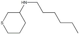 N-己基四氢-2H-噻喃-3-胺, 1343120-01-3, 结构式