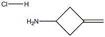 3-亚甲基环丁烷-1-胺盐酸盐, 136137-55-8, 结构式