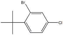 2-溴-1-(叔丁基)-4-氯苯,1369776-71-5,结构式