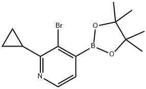 2-Cyclopropyl-3-bromopyridine-4-boronic acid pinacol ester, 1402233-20-8, 结构式