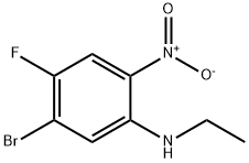 1601096-45-0 5-溴-N-乙基-4-氟-2-硝基苯胺