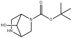 tert-butyl 7-hydroxy-2,5-diazabicyclo[2.2.1]heptane-2-carboxylate|TERT-BUTYL 7-HYDROXY-2,5-DIAZABICYCLO[2.2.1]HEPTANE-2-CARBOXYLATE