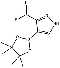 3-(difluoromethyl)-4-(4,4,5,5-tetramethyl-1,3,2-dioxaborolan-2-yl)-1H-pyrazole, 1842394-21-1, 结构式