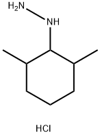 (2,6-dimethylcyclohexyl)hydrazine dihydrochloride Structure