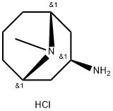 exo-3-Amino-9-methyl-9-azabicyclo[3.3.1]nonane Dihydrochloride Structure