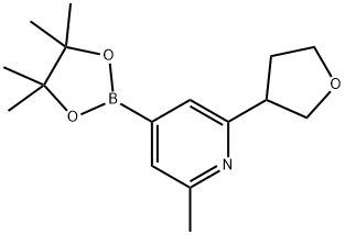2-methyl-6-(tetrahydrofuran-3-yl)-4-(4,4,5,5-tetramethyl-1,3,2-dioxaborolan-2-yl)pyridine Structure