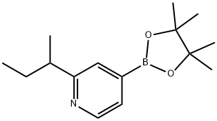 2-(sec-Butyl)pyridine-4-boronic acid pinacol ester Struktur