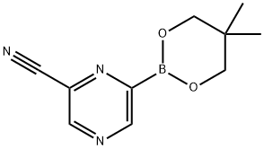 6-Cyanopyrazine-2-boronic acid neopentylglycol ester Struktur