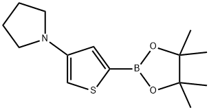 2223039-68-5 4-(Pyrrolidino)thiophene-2-boronic acid pinacol ester