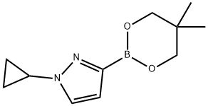1-Cyclopropylimidazole-3-boronic acid neopentylglycol ester Struktur