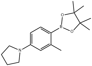 2-Methyl-4-(pyrrolidino)phenylboronic acid pinacol ester Struktur