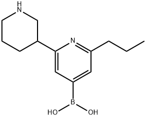 2-(n-Propyl)-6-(piperidin-3-yl)pyridine-4-boronic acid|