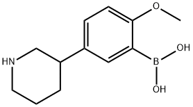 2-Methoxy-5-(piperidin-3-yl)phenylboronic acid 结构式