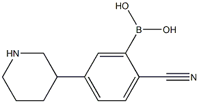 2-Cyano-5-(piperidin-3-yl)phenylboronic acid Struktur