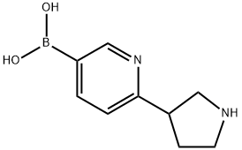 (6-(pyrrolidin-3-yl)pyridin-3-yl)boronic acid Struktur