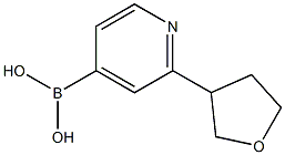 (2-(tetrahydrofuran-3-yl)pyridin-4-yl)boronic acid Struktur