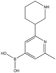 2-Methyl-6-(piperidin-3-yl)pyridine-4-boronic acid Structure