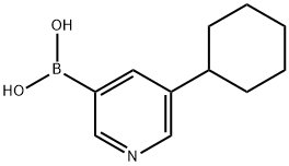 (5-cyclohexylpyridin-3-yl)boronic acid Struktur