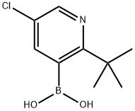 5-Chloro-2-(tert-butyl)pyridine-3-boronic acid Struktur