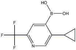 5-(CYCLOPROPYL)-2-TRIFLUOROMETHYLPYRIDINE-4-BORONIC ACID Structure